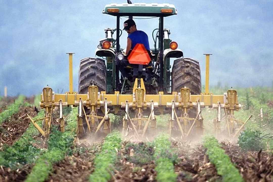 Resmi Gazete’de yayımlanan Cumhurbaşkanı Kararı ile Tarım Sigortaları Havuzu’na (TARSİM)