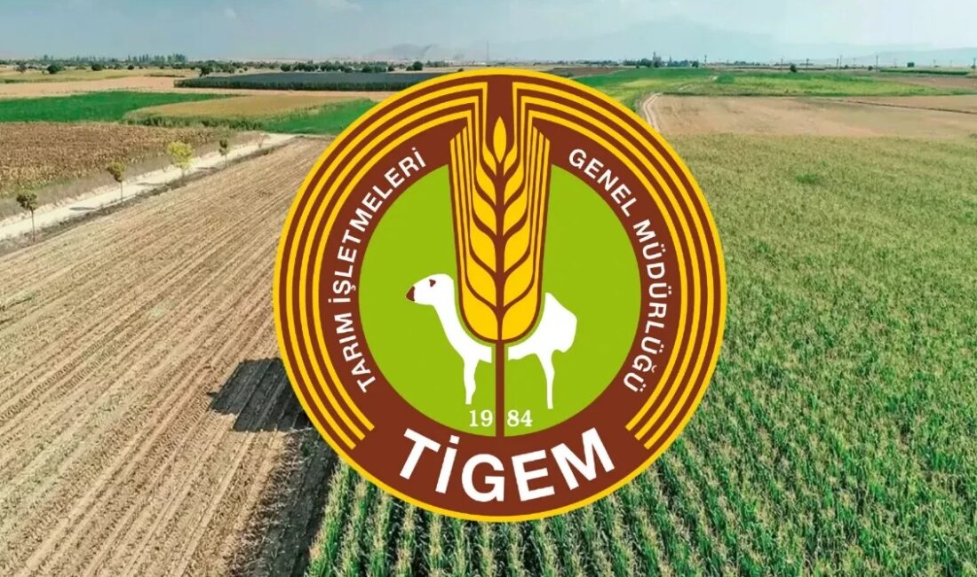 TİGEM’e bağlı Karacabey Tarım İşletmesi Müdürlüğü, 732 ton yem ham