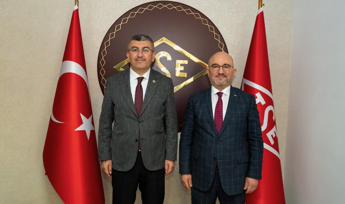 AK Parti Konya Milletvekili Hasan Ekici, Türk Standartları Enstitüsü Başkanı