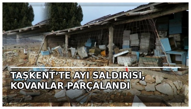 Konya’nın Taşkent ilçesinde arı kovanlarını korumak için kullanılan “hanay” adı