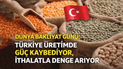 TÜİK verilerine göre 2025’te bakliyat üretimi 953 bin tonla 1