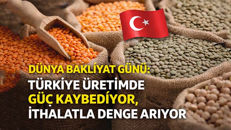 TÜİK verilerine göre 2025’te bakliyat üretimi 953 bin tonla 1