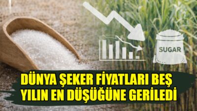 Ham şeker vadeli işlemleri, 11 Şubat 2026 kapanışında libre başına
