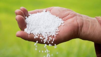 Tarım Kredi Kooperatifleri, gübre satışlarının durduğu yönündeki iddiaların gerçeği yansıtmadığını,