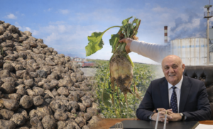 Konya Şeker, 2025–2026 kampanya döneminde 3.546.933 ton pancar alımı yaptı.