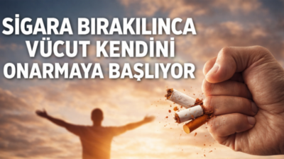 Bayındır İçerenköy Hastanesi Göğüs Hastalıkları Uzmanı Prof. Dr. Dilaver Taş,