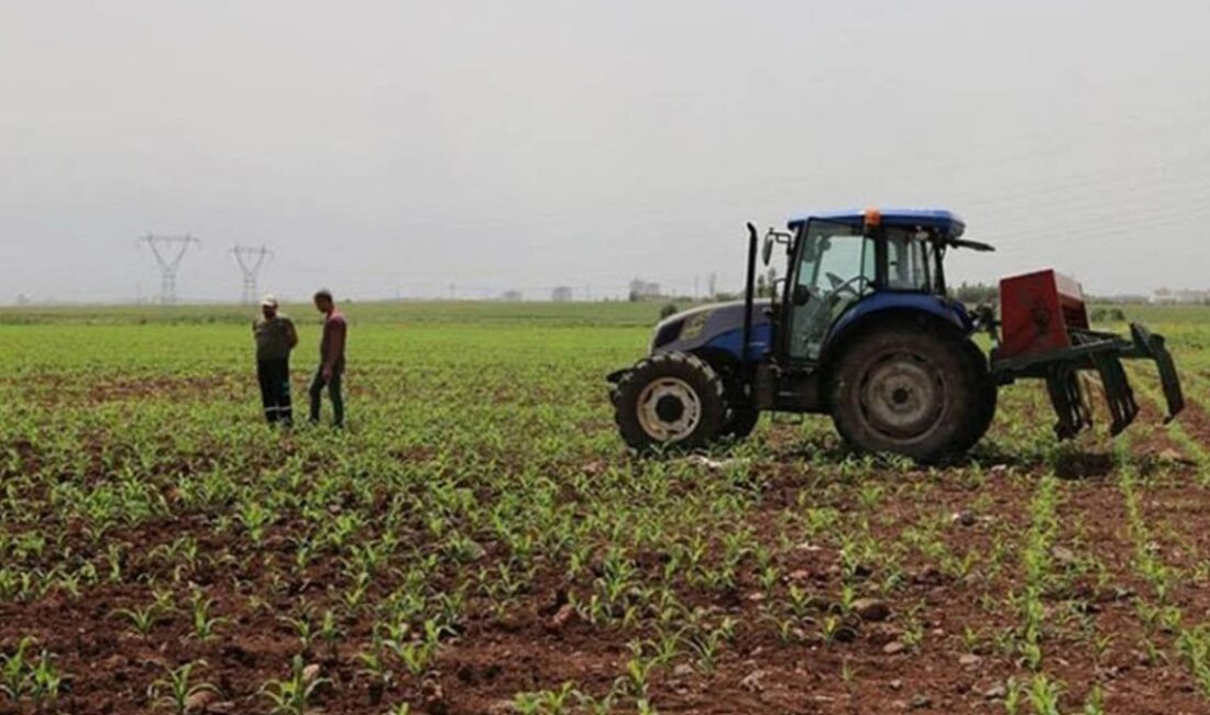 Tarım ve Orman Bakanı İbrahim Yumaklı, toplam 12 milyar 311