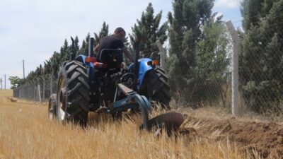 FAO, ILC ve CIRAD’ın hazırladığı küresel değerlendirmeye göre, dünyanın yalnızca