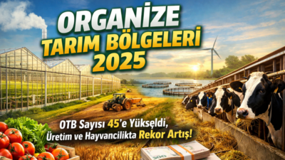 Tarım ve Orman Bakanlığı’nın 2025 bültenine göre Yozgat Yerköy Jeotermal