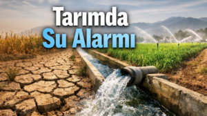 OMÜ Ziraat Fakültesi Öğretim Üyesi Prof. Dr. Yusuf Demir, Türkiye’de