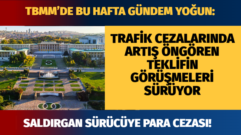 TBMM Genel Kurulu, 10 Şubat Salı günü başlayacak haftalık mesaisinde;