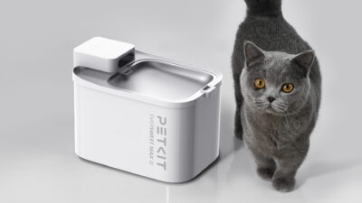 Kedi ve köpeklerde yetersiz su tüketimi, böbrek ve idrar yolu