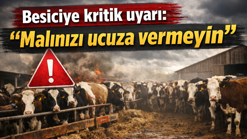 Kırmızı et piyasasında kesim fiyatları mart sonunda dar bir bantta