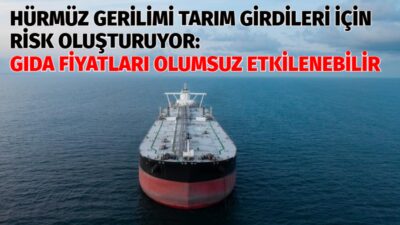 YODA Danışmanlık Kurucu Ortağı Hakan Göral, Körfez’deki gerilimin sadece petrol