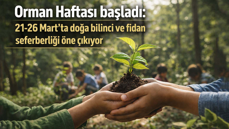 Türkiye’de her yıl 21-26 Mart tarihleri arasında kutlanan Orman Haftası,