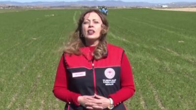 Ankara İl Tarım ve Orman Müdürlüğü, buğday ve arpa üretim