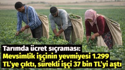 TÜİK’in “Tarımsal İşletme İşgücü Ücret Yapısı, 2025” verileri tarımda işçilik