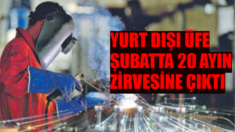 TÜİK’in Şubat 2026 verilerine göre yurt dışı üretici fiyat endeksi