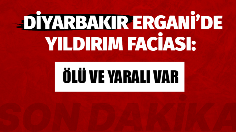 Diyarbakır’ın Ergani ilçesinde yağmurdan korunmak için ağacın altına sığınan 3