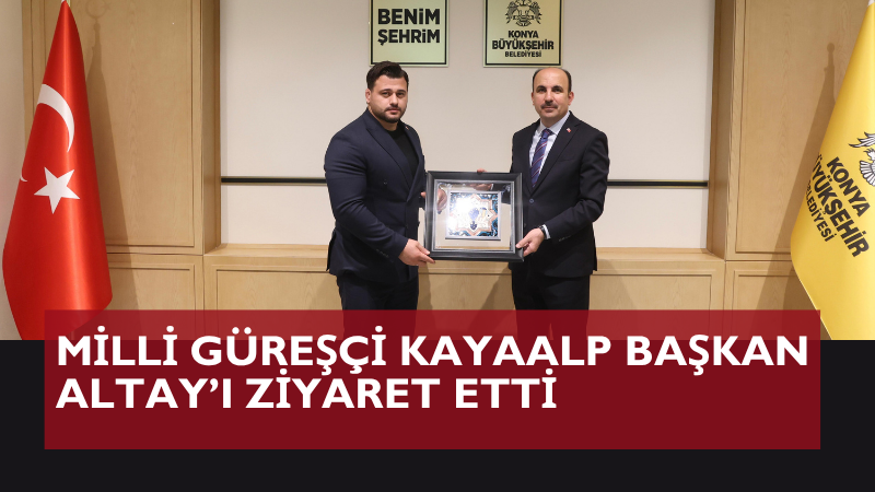 Türkiye Güreş Federasyonu Başkanı Taha Akgül, Milli Olimpiyat Komitesi Başkanı