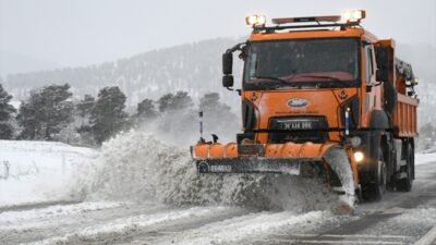 Erzurum, Kars ve Ardahan'da kar yağışı ve soğuk hava yaşamı