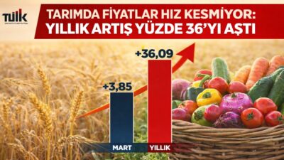 TÜİK verilerine göre mart ayında tarım ürünleri üretici fiyat endeksi