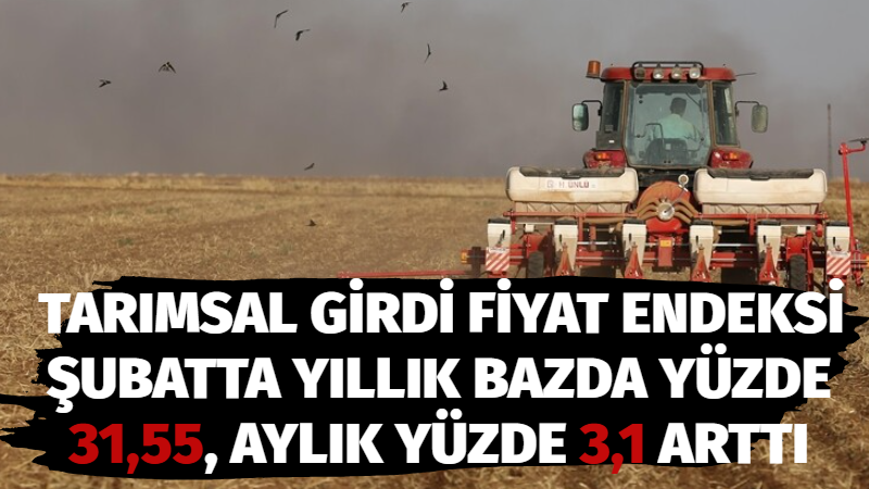 Tarımsal girdi fiyat endeksi (Tarım-GFE), şubatta yıllık bazda yüzde 31,55,