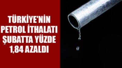 Türkiye’nin toplam petrol ve petrol ürünleri ithalatı şubatta yıllık bazda