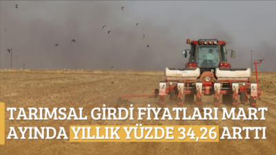 Türkiye İstatistik Kurumu verilerine göre Tarım-GFE, Mart 2026’da aylık yüzde