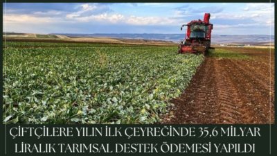 Tarım ve Orman Bakanlığı, yılın ilk 3 ayında çiftçilere yaklaşık