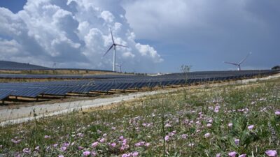 GE Vernova Gas Power Avrupa, Orta Doğu ve Afrika Başkanı