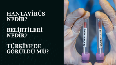 Atlas Okyanusu’nda seyreden bir yolcu gemisinde ortaya çıkan hantavirüs vakaları