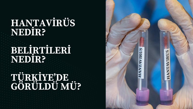 Atlas Okyanusu’nda seyreden bir yolcu gemisinde ortaya çıkan hantavirüs vakaları