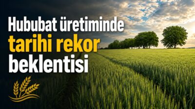 Toprak Mahsulleri Ofisi’nin nisan ayı analizine göre, Türkiye genelinde hububat