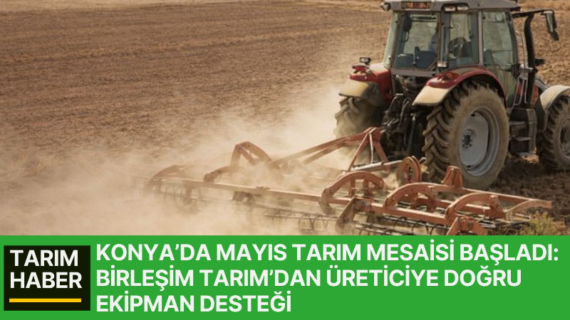 Konya ve Orta Anadolu’da mayıs ayıyla birlikte şeker pancarı bakımı,
