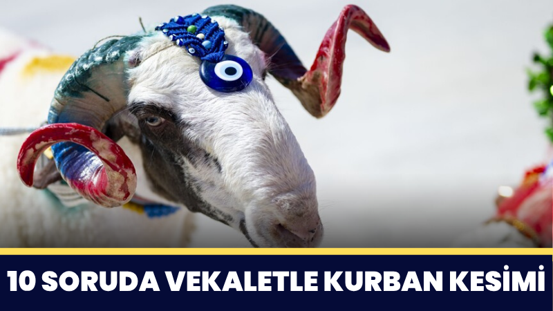 Vekaletle kurban organizasyonlarında dikkat edilmesi gereken hususları 10 soruda derledik.