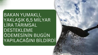 Tarım ve Orman Bakanı İbrahim Yumaklı, tarımsal destekleme ödemesi olarak