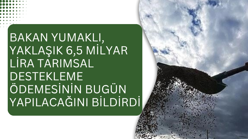Tarım ve Orman Bakanı İbrahim Yumaklı, tarımsal destekleme ödemesi olarak
