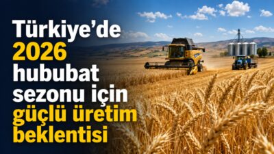 Ulusal Hububat Konseyi Başkanı Yaşar Serpi, düzenli yağışların hububat gelişimini