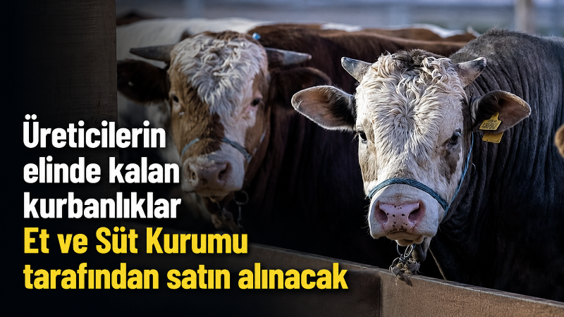 Tarım ve Orman Bakanı İbrahim Yumaklı, Kurban Bayramı’nda üreticilerin elinde