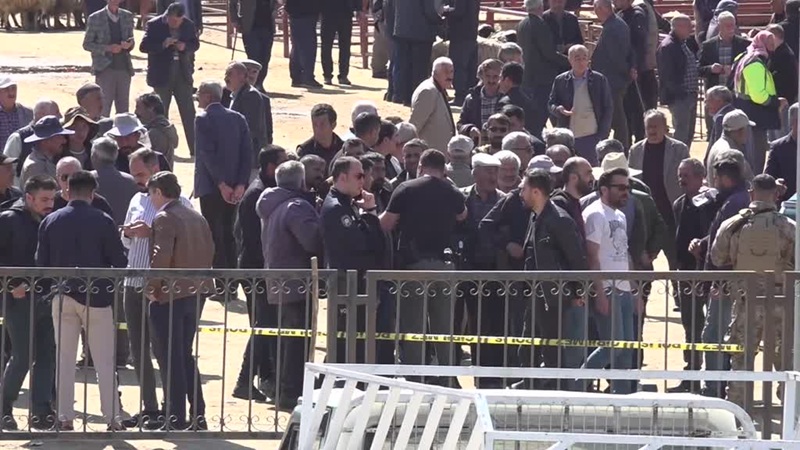Van’ın İpekyolu ilçesindeki hayvan pazarında iki grup arasında çıkan taşlı,