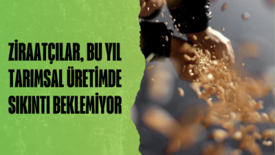 Türk Ziraat Yüksek Mühendisleri Birliği Genel Başkanı Fehmi Kiraz, "Meyve,