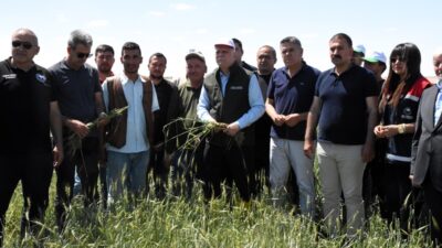TZOB Genel Başkanı Şemsi Bayraktar, Aksaray’ın Sultanhanı ilçesinde dolu yağışından