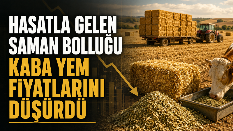 Hububat hasadının başlamasıyla piyasaya giren yoğun kaba yem arzı, özellikle