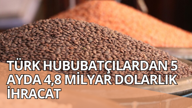 Türkiye'den ocak-mayıs döneminde hububat, bakliyat, yağlı tohumlar ve mamulleri sektörü,