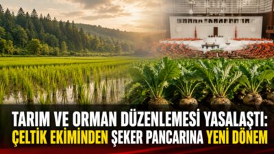TBMM Genel Kurulu’nda kabul edilen kanunla tarım, orman, DSİ, şeker