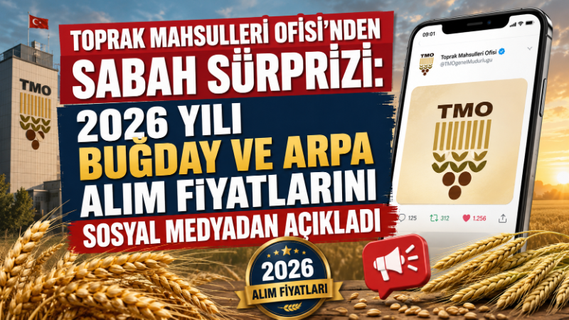 Toprak Mahsulleri Ofisi’nin 2026 yılı buğday alım fiyatını ton başına
