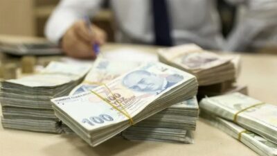 Bireysel Emeklilik Sistemi (BES) ve Otomatik Katılım Sistemi'ndeki (OKS) devlet