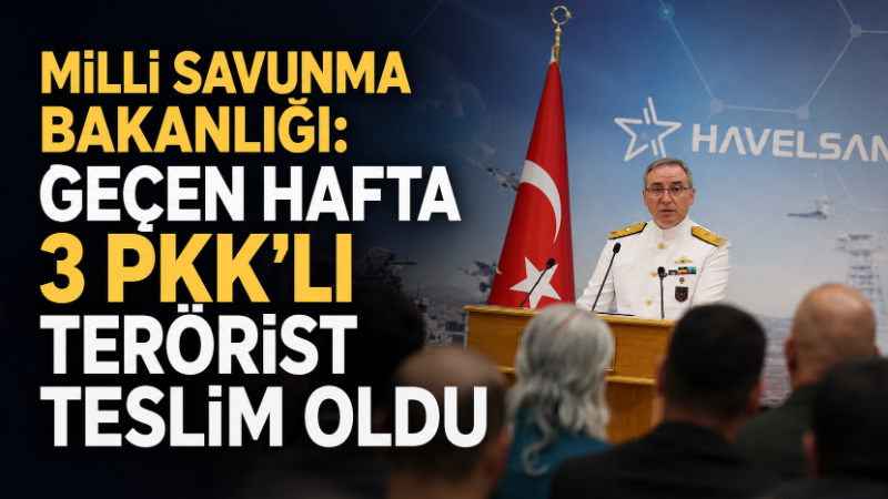 Milli Savunma Bakanlığı, Türk Silahlı Kuvvetlerinin terörle mücadele, hudut güvenliği,