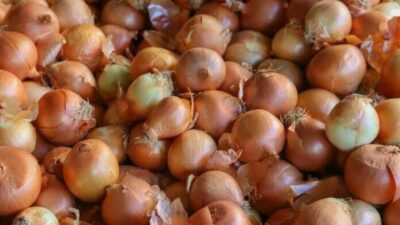 Ticaret Bakanlığı, kuru soğanda arz güvenliğinin sağlanması, tüketicilerin uygun fiyatla